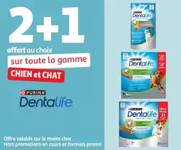 Auchan Sur toute la gamme chien et chat dentalife offre