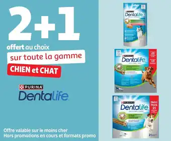 Auchan Sur toute la gamme chien et chat dentalife offre