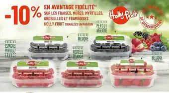 G20 Fraises, Mûres, Myrtilles, Groseilles Et Framboises Holly Fruit offre