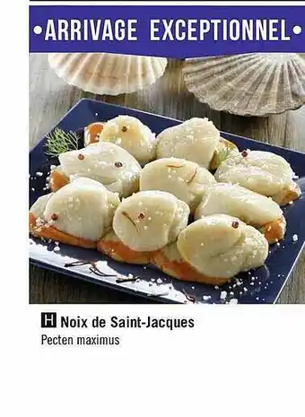 Géant Casino Noix De Saint-jacques offre