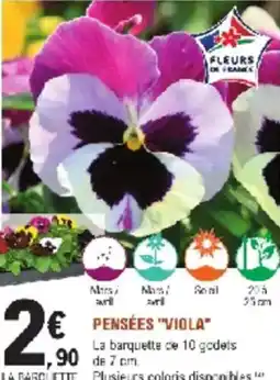 E.Leclerc Jardi Pensées viola offre