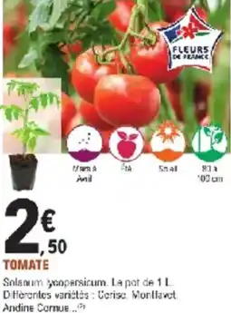 E.Leclerc Jardi Tomate offre