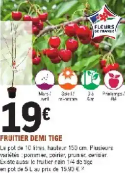 E.Leclerc Jardi Fruitier demi tige offre