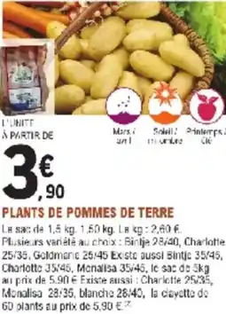 E.Leclerc Jardi Plants de pommes de terre offre