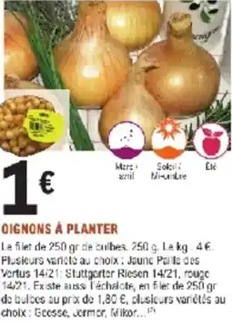 E.Leclerc Jardi Oignons à planter offre