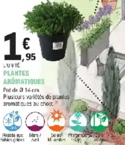 E.Leclerc Jardi Plantes aromatiques offre