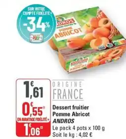 G20 ANDROS Dessert fruitier Pomme Abricot offre