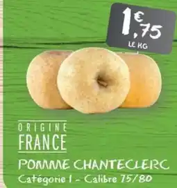 G20 Pomme chanteclerc offre