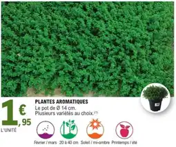 E.Leclerc Jardi Plantes aromatiques offre