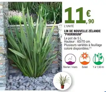 E.Leclerc Jardi Lin de nouvelle zélande "phormium" offre