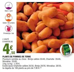 E.Leclerc Jardi Plants de pommes de terre offre