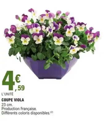 E.Leclerc Jardi Coupe viola offre