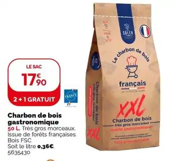 Weldom Charbon de bois gastronomique offre