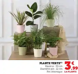 Hyper U Plante verte offre