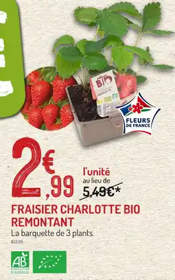 Botanic Fraisier charlotte bio remontant offre