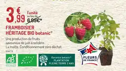 Botanic BOTANIC Framboisier héritage bio offre