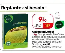 Weldom GEOLIA Gazon universel offre