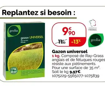 Weldom GEOLIA Gazon universel offre