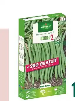 Botanic VILMORIN Graines à semer de haricots offre