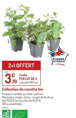 Botanic Collection de menthe bio offre