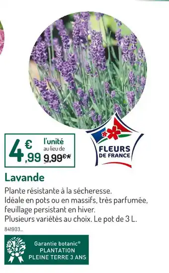 Botanic Lavande offre