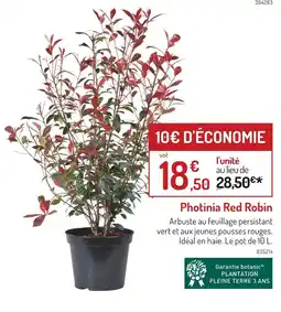 Botanic Photinia red robin offre