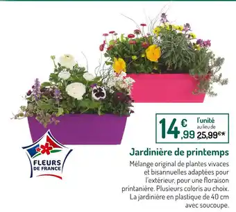 Botanic Jardinière de printemps offre