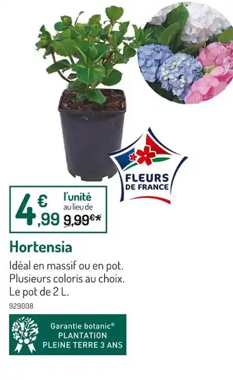 Botanic Hortensia offre