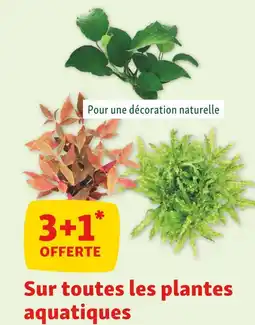 Maxi Zoo 3+1 offerte sur toutes les plantes aquatiques offre