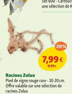 Maxi Zoo ZOLUX Racines offre