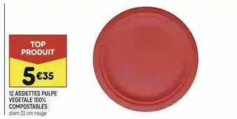12 Assiettes Pulpe Végétale 100% Compostables