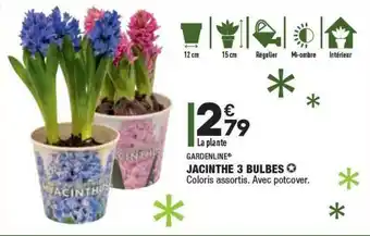ALDI Jacinthe 3 Bulbes Gardenline offre