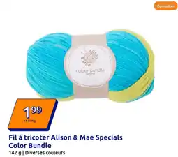 Action Fil à tricoter Alison & Mae Specials Color Bundle offre