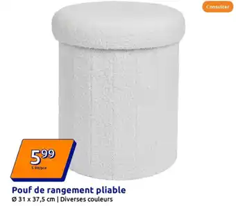 Action Pouf de rangement pliable offre