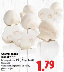 Lidl Champignons blancs offre