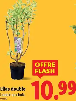 Lidl Lilas double offre