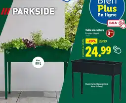 Lidl Table de culture offre