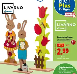 Lidl LIVARNO home Décoration de Pâques offre