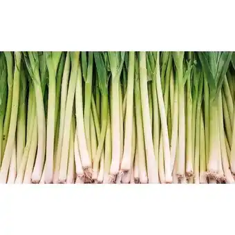 Carrefour Blancs de poireaux FILIÈRE QUALITÉ CARREFOUR offre