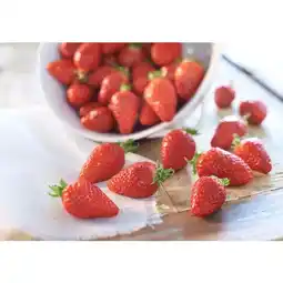 Carrefour Fraise gariguette Carrefour offre