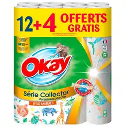 Carrefour OKAY Essuie-tout offre