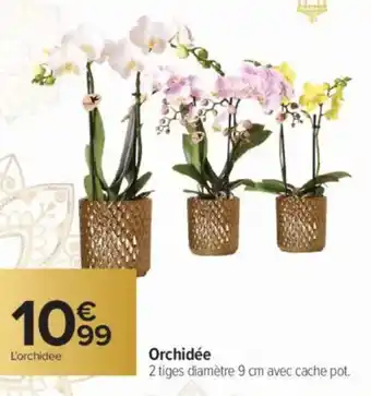 Carrefour Orchidée offre