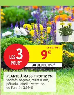 Intermarché Hyper Plante à massif pot 12 cm offre