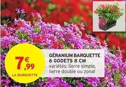 Intermarché Hyper Géranium barquette 6 godets 8 cm offre