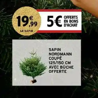 Intermarché Contact Sapin Coupé 125-150 Cm Avec Bûche Offerte offre