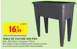 Intermarché Hyper Table de culture sur pied offre