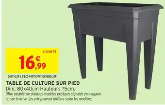 Intermarché Hyper Table de culture sur pied offre