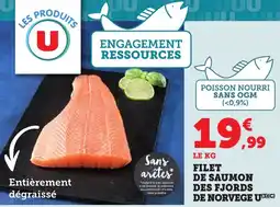 Bi1 Filet de saumon des fjords de norvege u offre