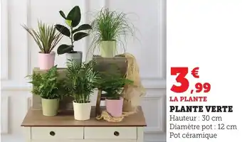 Bi1 Plante verte offre