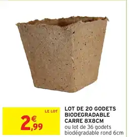 Intermarché Hyper Lot de 20 godets biodegradable carre 8x8cm offre
